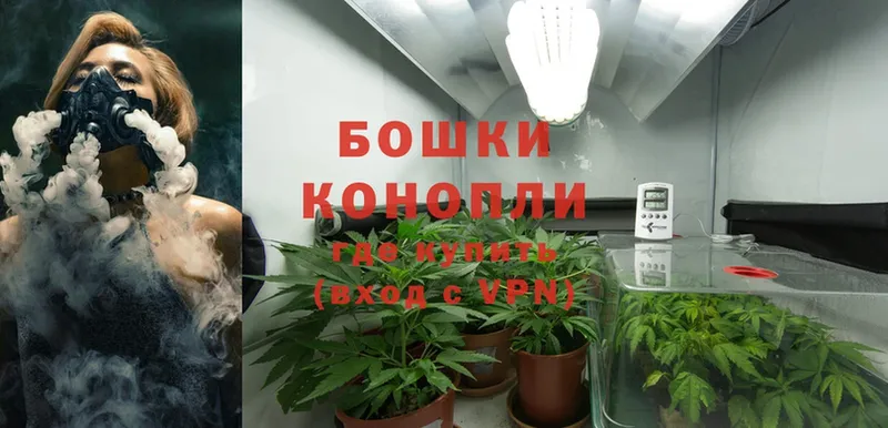 Каннабис Ganja  гидра рабочий сайт  Лосино-Петровский 